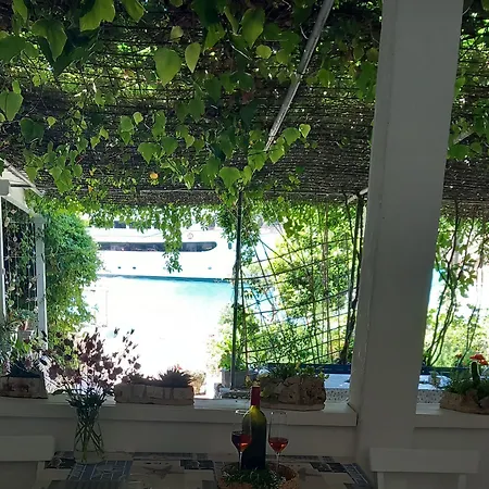 Corner Guest house 3*