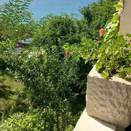 Guest house Corner 3*